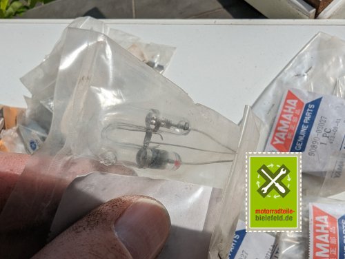 PXL_20240528_150225497